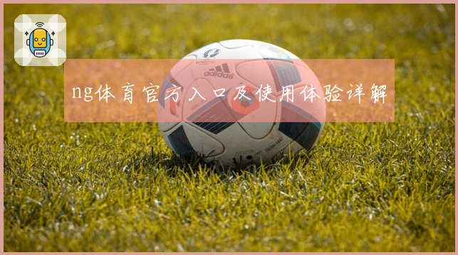 ng体育官方入口及使用体验详解