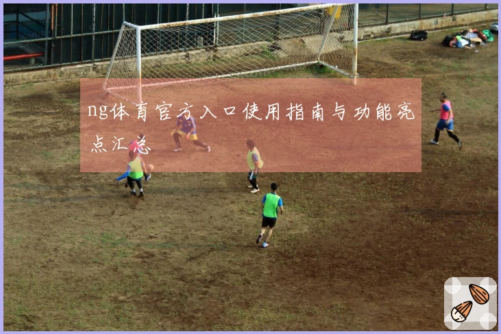 ng体育官方入口使用指南与功能亮点汇总
