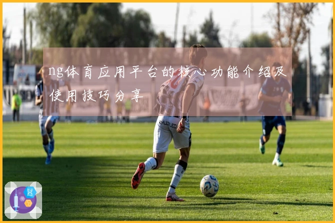 ng体育应用平台的核心功能介绍及使用技巧分享