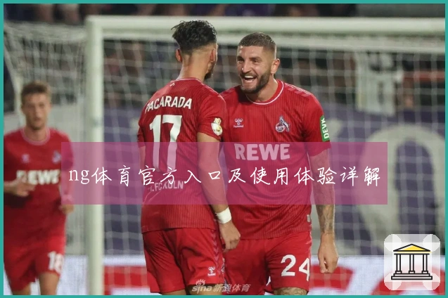 ng体育官方入口及使用体验详解