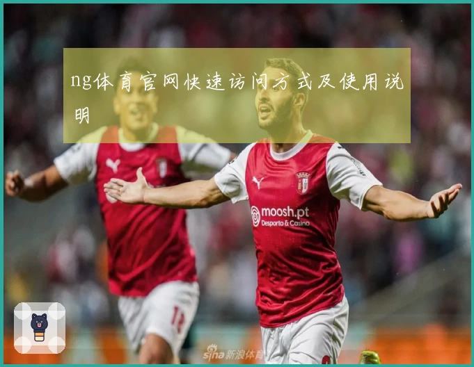 ng体育官网快速访问方式及使用说明