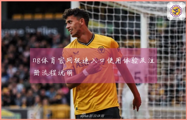 ng体育官网极速入口使用体验及注册流程说明