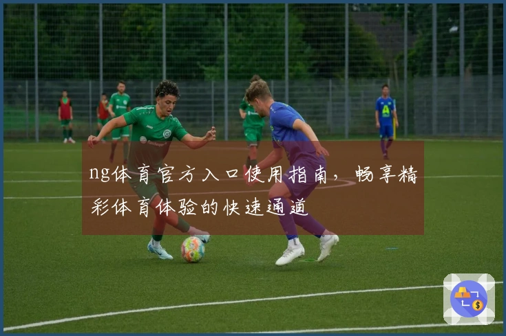 ng体育官方入口使用指南，畅享精彩体育体验的快速通道
