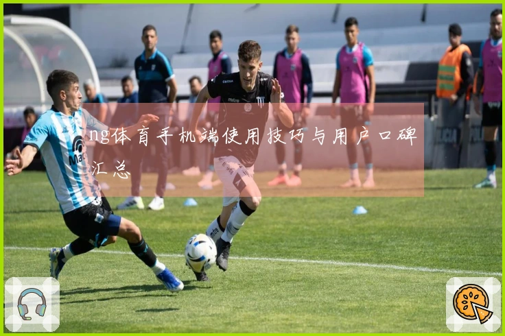 ng体育手机端使用技巧与用户口碑汇总