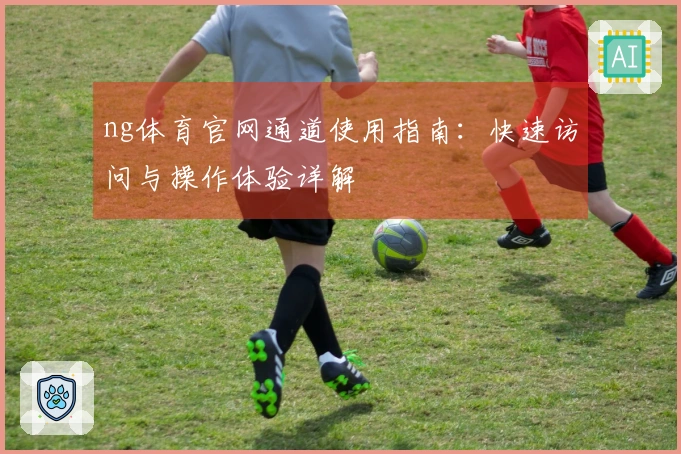 ng体育官网通道使用指南:快速访问与操作体验详解