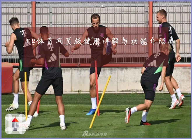 ng体育网页版使用详解与功能介绍