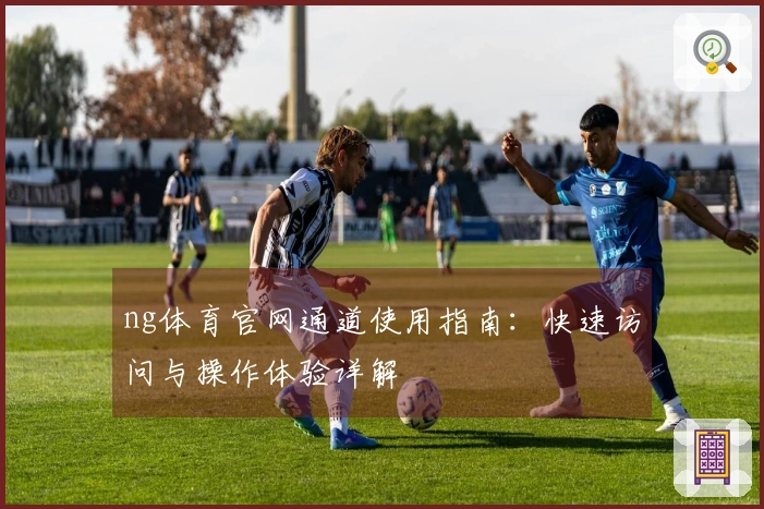ng体育官网通道使用指南：快速访问与操作体验详解