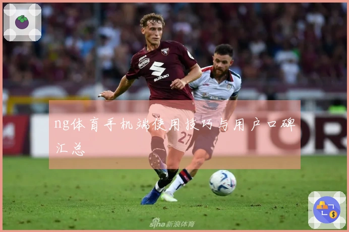 ng体育手机端使用技巧与用户口碑汇总